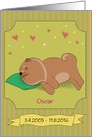 Loss of Dog. Sleeping brown dog with pillow. Custom text front card