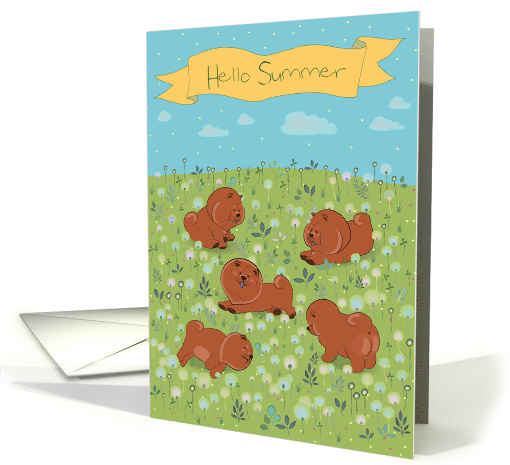 Happy Chow-chow on the blossoming field card (1428354)