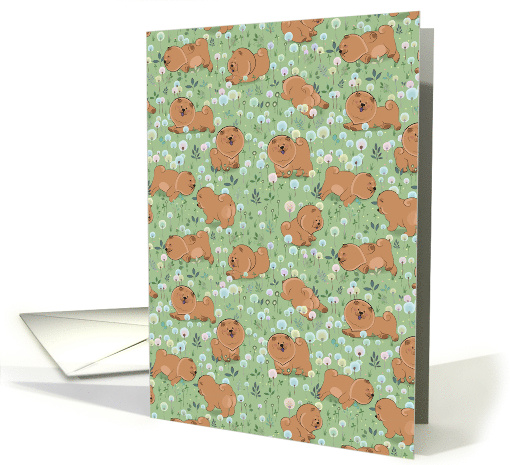 Cute puppies Chow-chow on the blossoming field. card (1484388)