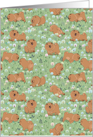 Cute puppies Chow-chow on the blossoming field. card