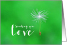 Sending You Love Dandelion on Green Feel Better card