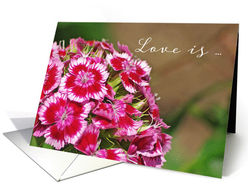 Bunch of Pink Flowers for Love with You card (1431544)