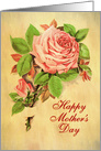 Illustrated Vintage Happy Mother’s Day, A Rose and a Bud with Leaves card