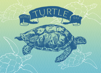 Illustrated World Turtle Day Card