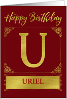 Illustrated Custom Happy Birthday Gold Foil Effect Monogram U card
