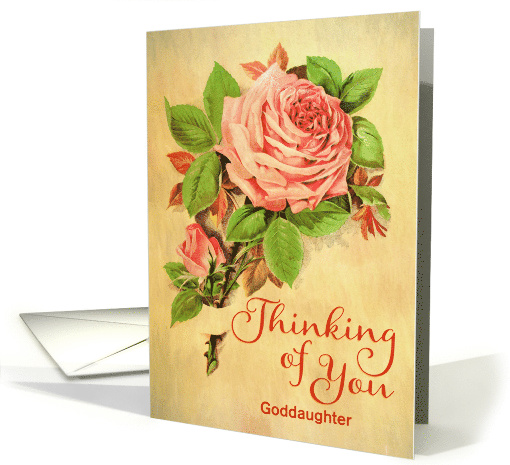 Custom Get Well Soon, Thinking of You, For Goddaughter card (1447076)