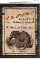 Custom Sympathy Loss of Zoo Animal Elephant Vintage card