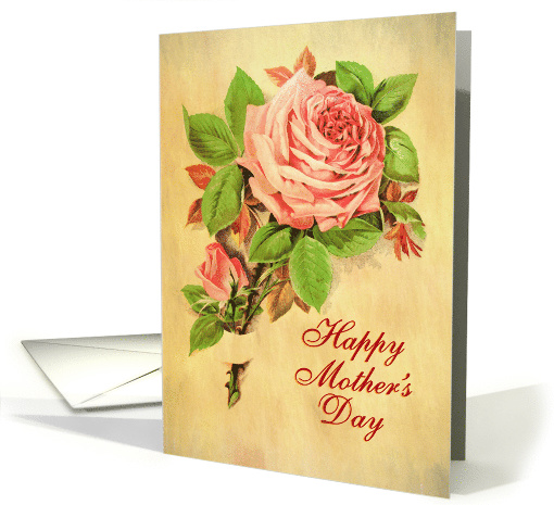 Illustrated Vintage Happy Mother's Day, A Rose and a Bud... (1613960)