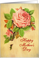 Illustrated Vintage Happy Mother’s Day, A Rose and a Bud with Leaves card