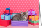 Happy Birthday Kittens card