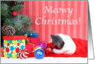 Meowy Christmas kitten card