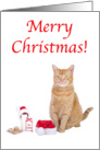 Merry Christmas Cat with hat card