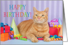 Happy Birthday Tabby Cat card