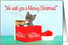 Meowy Christmas Gray Kitten Singing card