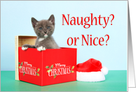 Christmas Present with Gray Kitten Naughty or Nice card