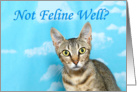 Not Feline Well? Humorous Get Well Card