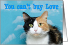 Calico Cat Can’t Buy Love Adoption Rescue Card