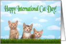 Three kittens in a row for International cat day card