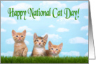 Three kittens lined up for National cat day card