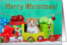 Ginger tabby kitten Merry Christmas card