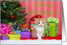 Orange and white tabby kitten Meowy Christmas card