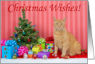 Ginger tabby cat Christmas Wishes card