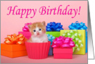 Cupcake kitten birthday card