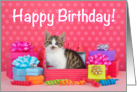 Pink polka dot kitten birthday card