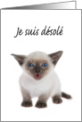 Siamese kitten I’m sorry in French card