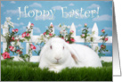 Albino lop eared bunny Hoppy Easter card