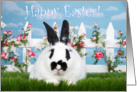 Black and white bunny in the garden happy Easter card