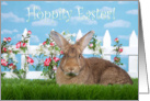 Big brown bunny in the garden Hoppity Easter card