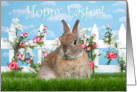 Small brown dwarf bunny hoppy Easter card