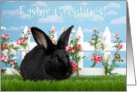 Big black bunny Easter Greetings card