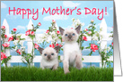 Two Siamese kittens wishing Happy Mother’s Day card