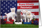 Four Paws-itively Patriotic 4th of July kittens card