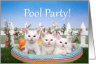 Kitten pool party invitation card