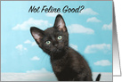 Black kitten comical get well card