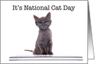 Smart computer kitten wearing glasses announcing National Cat Day card