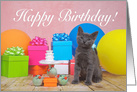 Gray kitten miniature party Happy Birthday card