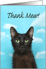 Regal cat Thank Mew Thank You card