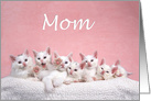 Many kittens happy Mother’s Day Mom card