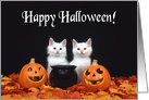 Two fluffy white kittens Happy Halloween card