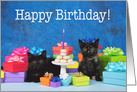Two fluffy black kittens Happy Birthday card