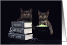 Black cats with books of curses spells and potions Happy Halloween card