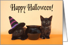Adorable black kittens Happy Halloween card