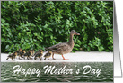 Mama duck with ducklings following Happy Mother’s Day card