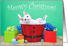 White kitten with heterochromia Festive Meowy Christmas card