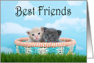 Tiny kittens Best Friends card