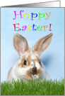 Baby Bunny Hoppy Easter card